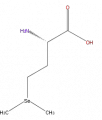 Thumbnail for version as of 16:09, 9 September 2008