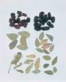 Thumbnail for version as of 14:37, 2 July 2010