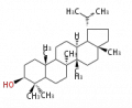 Thumbnail for version as of 15:31, 9 August 2010