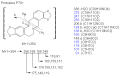Thumbnail for version as of 22:48, 4 March 2011