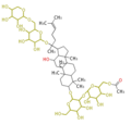 Thumbnail for version as of 12:27, 16 February 2010