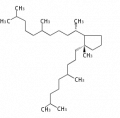 Thumbnail for version as of 05:44, 18 July 2010
