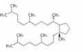 Thumbnail for version as of 11:55, 20 July 2010