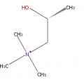 Thumbnail for version as of 16:09, 9 September 2008