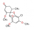 Thumbnail for version as of 14:39, 2 March 2010