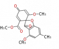 Thumbnail for version as of 12:23, 15 March 2010