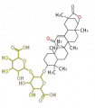 Thumbnail for version as of 12:00, 9 February 2010