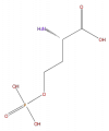 Thumbnail for version as of 16:10, 9 September 2008