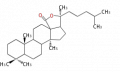 Thumbnail for version as of 01:29, 17 July 2010