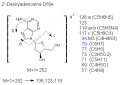 Thumbnail for version as of 22:48, 4 March 2011