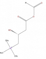 Thumbnail for version as of 16:09, 9 September 2008