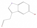 Thumbnail for version as of 16:09, 9 September 2008