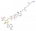 Thumbnail for version as of 15:59, 19 June 2009