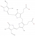 Thumbnail for version as of 16:09, 9 September 2008