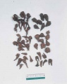 Thumbnail for version as of 14:37, 2 July 2010