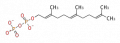 Thumbnail for version as of 16:07, 8 December 2011