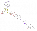Thumbnail for version as of 16:30, 19 June 2009