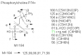 Thumbnail for version as of 22:48, 4 March 2011