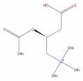 Thumbnail for version as of 16:09, 9 September 2008