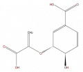 Thumbnail for version as of 16:09, 9 September 2008