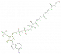 Thumbnail for version as of 13:50, 2 February 2009