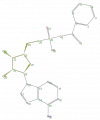 Thumbnail for version as of 13:50, 2 February 2009