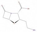 Thumbnail for version as of 16:09, 9 September 2008