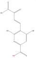 Thumbnail for version as of 16:09, 9 September 2008