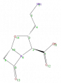 Thumbnail for version as of 13:50, 2 February 2009