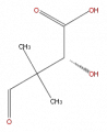 Thumbnail for version as of 16:10, 9 September 2008