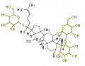 Thumbnail for version as of 17:07, 14 December 2009