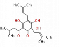 Thumbnail for version as of 14:41, 2 March 2010