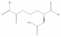 Thumbnail for version as of 16:09, 9 September 2008