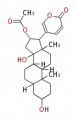 Thumbnail for version as of 17:04, 11 December 2009