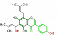 Thumbnail for version as of 17:19, 10 February 2010