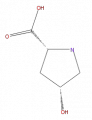 Thumbnail for version as of 16:13, 9 September 2008