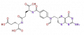 Thumbnail for version as of 16:06, 19 June 2009