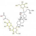 Thumbnail for version as of 09:46, 15 February 2010