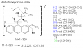 Thumbnail for version as of 22:48, 4 March 2011