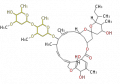 Thumbnail for version as of 14:17, 2 March 2010