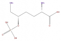 Thumbnail for version as of 16:09, 9 September 2008