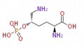 Thumbnail for version as of 15:57, 19 June 2009