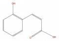 Thumbnail for version as of 16:10, 9 September 2008