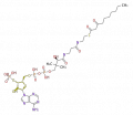 Thumbnail for version as of 16:22, 19 June 2009