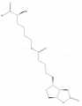 Thumbnail for version as of 16:10, 9 September 2008