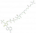 Thumbnail for version as of 13:50, 2 February 2009