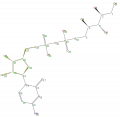 Thumbnail for version as of 13:50, 2 February 2009