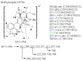 Thumbnail for version as of 22:47, 4 March 2011