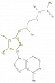 Thumbnail for version as of 13:49, 2 February 2009