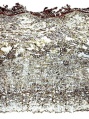 Thumbnail for version as of 14:51, 20 February 2011